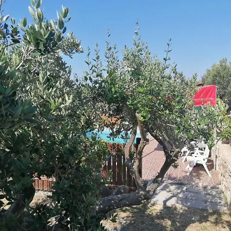 Camp Kopito