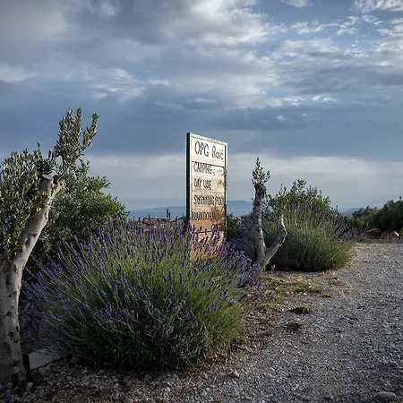 캠프장 Camp Kopito *