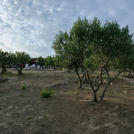 캠프장 Camp Kopito