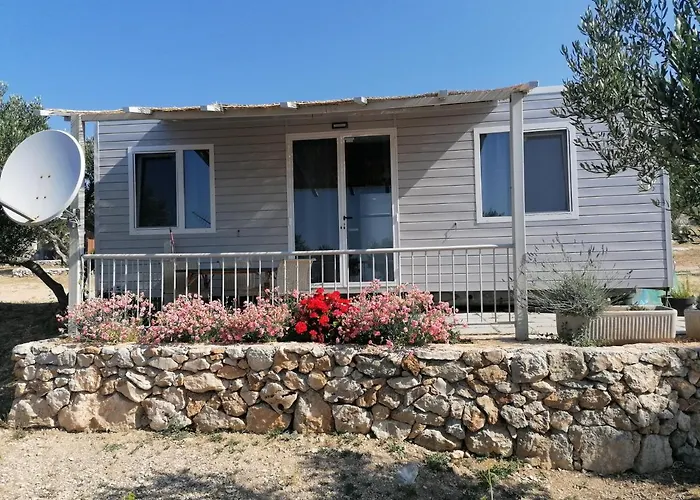 Кемпінг Camp Kopito