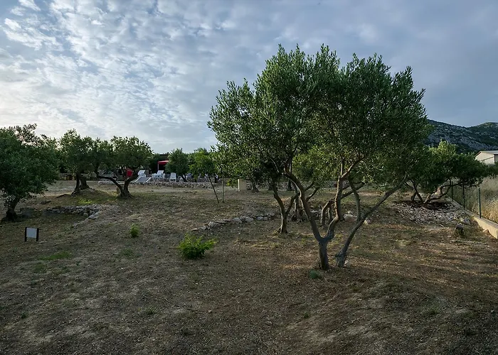 Parque de Campismo Camp Kopito