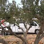 Campsite Camp Kopito Hvar Town