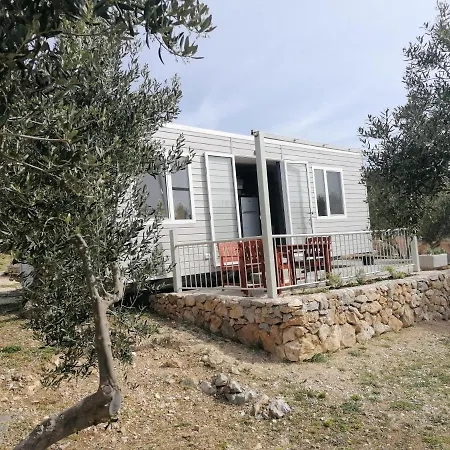 Camp Kopito
